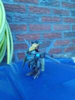 Fodder's Bin Mods: Terror -dactyl Insurgent (original idea) (Original) Custom Action Figure
