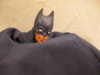 Batman (DC Superheroes) Custom Action Figure
