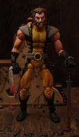 Wolverine (Marvel Legends) Custom Action Figure