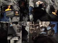 Bat Cave (DC Direct) Custom Diorama / Playset