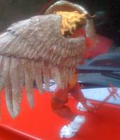 Griffin (Marvel) Custom Action Figure