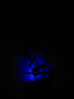 Nightcrawler Nightlight (Marvel Legends) Custom Action Figure