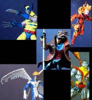 X-Men (Marvel Universe) Custom Action Figure