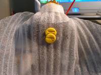 Ecliptic Spider (Original) Custom Action Figure