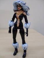Black Cat  Ver. 2 (Marvel Legends) Custom Action Figure