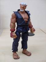 Shen Long (Street Fighter) Custom Action Figure