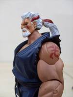 Shen Long (Street Fighter) Custom Action Figure