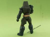 Monarch (DC Direct) Custom Action Figure