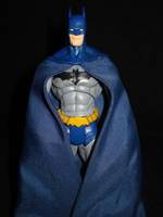 Batman Reborn: Batman (Batman & Robin) Custom Action Figure