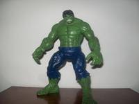 Incredible Hulk (Incredible Hulk) Custom Action Figure