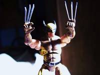 Wolverine (Marvel Universe) Custom Action Figure