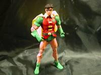 Robin the Boy Wonder (DC Superheroes) Custom Action Figure