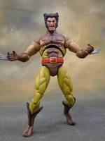 Wolverine (Marvel Universe) Custom Action Figure