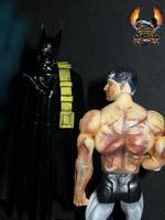 Batman (DC Universe) Custom Action Figure
