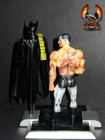 Batman (DC Universe) Custom Action Figure