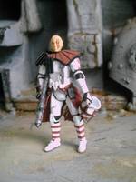 Clone ARC Trooper (Star Wars) Custom Action Figure