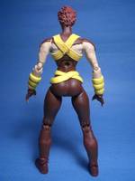 Amazon (Marvel Legends) Custom Action Figure