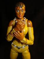 Vixen (DC Universe) Custom Action Figure