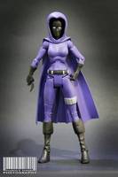 Spoiler DCUC (DC Universe) Custom Action Figure