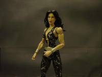 Donna Troy (DC Universe) Custom Action Figure