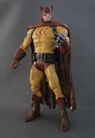 Catman (DC Universe) Custom Action Figure