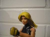 Black Canary (DC Universe) Custom Action Figure