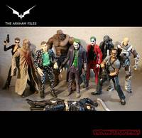 Catwoman WIP  -  Dark Knight Style  -  'the Arkham Files'  #09 (Dark Knight) Custom Action Figure