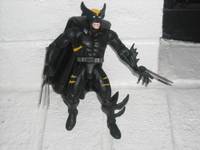 Dark Claw (Amalgam) Custom Action Figure