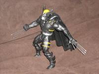 Dark Claw (Amalgam) Custom Action Figure