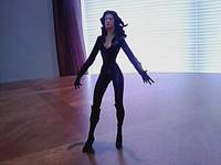DC Legends Selina Kyle (Batman) Custom Action Figure