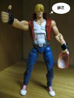 Terry Bogard (Capcom vs. SNK) Custom Action Figure