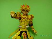 Aioria Leo - Episode G (Myth Cloth) Custom Action Figure