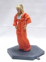 Incarcerated Harley Quinn (DC Universe) Custom Action Figure