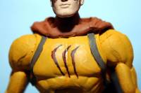 Catman (DC Universe) Custom Action Figure
