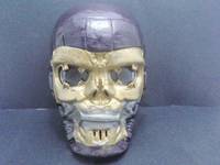 Electronic Human Size Sentinel Mask (X-Men) Custom Action Figure