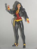 Wonder Woman V2 (DC Superheroes) Custom Action Figure