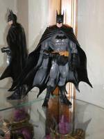 Batman Forever! (DC Universe) Custom Action Figure