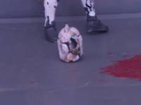 Zombie Clone Trooper (Star Wars) Custom Action Figure