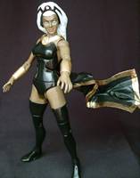 Storm (X-Men) Custom Action Figure