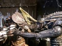 The Prodigal Son Returns (Predator) Custom Action Figure