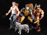 The Wolf Pack (X-Men) Custom Action Figure