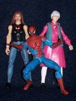 Spider-Man Family (Marvel Universe) Custom Action Figure