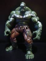 Hulk House of M (Incredible Hulk) Custom Action Figure
