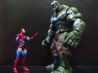 Hulk House of M (Incredible Hulk) Custom Action Figure