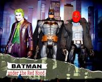 Red Hood Custom (DC Universe) Custom Action Figure