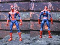 Amazing Spider-Man (Spider-Man: Shattered Dimensions) Custom Action Figure
