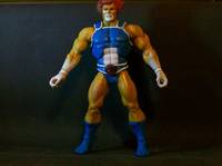Lion-O, Masters of the Universe Crossover (Masters of the Universe) Custom Action Figure