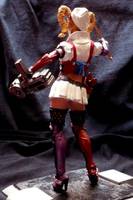 Harleyquinn Arkham (DC Superheroes) Custom Action Figure