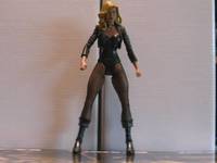Black Canary (DC Universe) Custom Action Figure