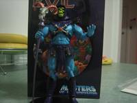 Skeletor (Masters of the Universe) Custom Action Figure